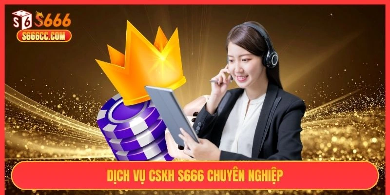 Dịch vụ CSKH S666 chuyên nghiệp