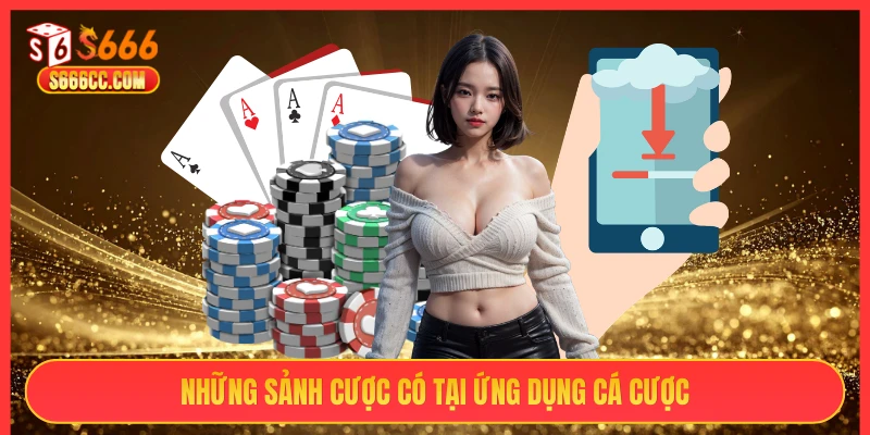 Những sảnh cược có tại ứng dụng cá cược S666